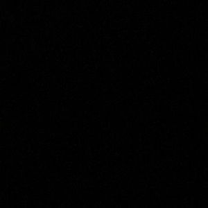 Meet your Posher, Olyvia